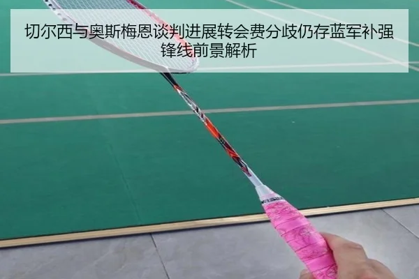 切尔西与奥斯梅恩谈判进展转会费分歧仍存蓝军补强锋线前景解析