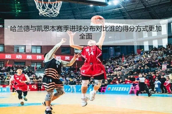 哈兰德与凯恩本赛季进球分布对比谁的得分方式更加全面