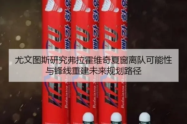 尤文图斯研究弗拉霍维奇夏窗离队可能性与锋线重建未来规划路径